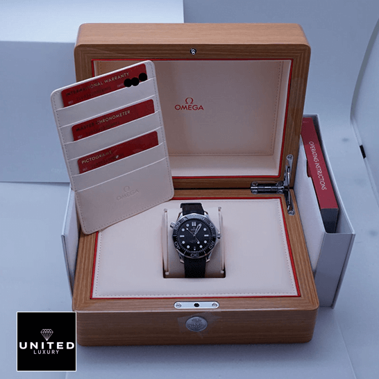 Omega Seamaster Diver 300m Black Dial Inspired in the box